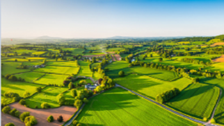 行業(yè)動(dòng)態(tài) | 7萬(wàn)億開(kāi)局！鄉(xiāng)村振興戰(zhàn)略五大發(fā)力點(diǎn)